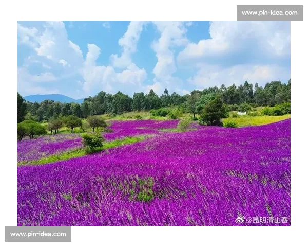 影像记忆：2025 野三关半马赛道骑行 —— 从起点拱门到云端花海